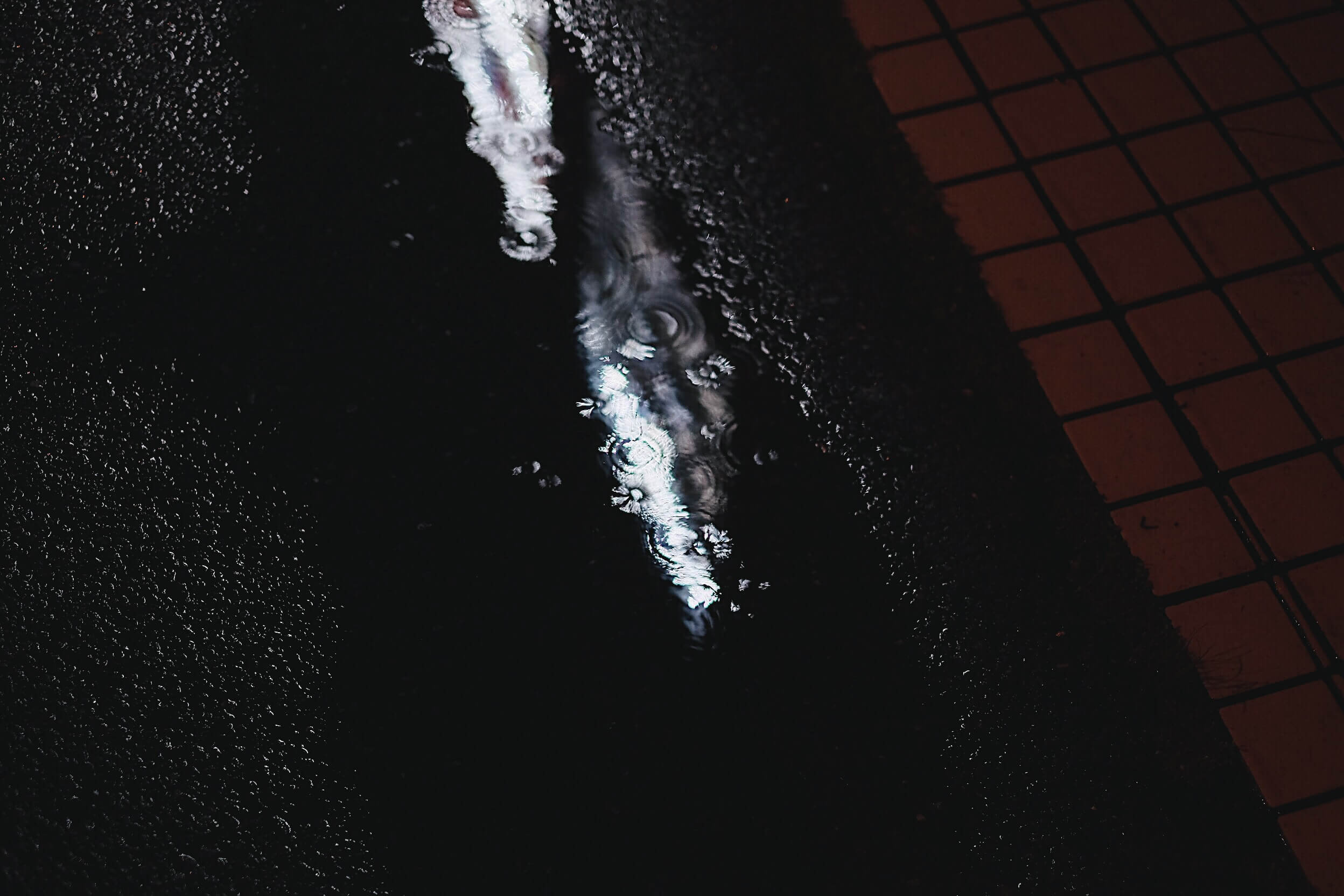 雨が跳ねる水たまり