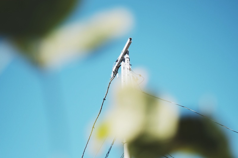 スーパータクマー55mm F1.8作例6