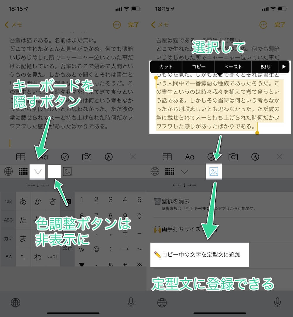 色調整ボタンは非表示・キーボードを隠すボタンをオン