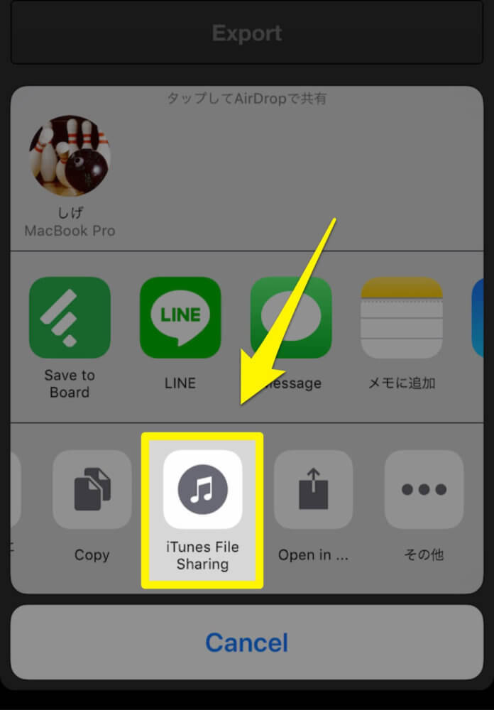 【iTunes File Sharing】というボタンがあるのでそちらをタップ